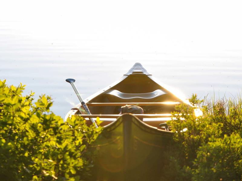 sudoku daily practice